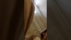 она убивает кошек и сабак название ласка