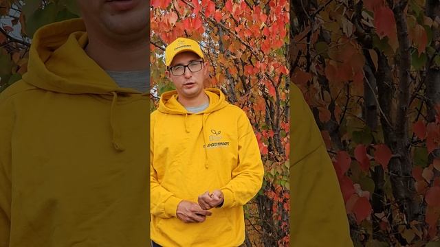 Как щелочную почву сделать нейтральной смотреть онлайн