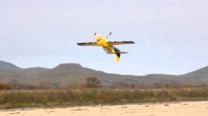 RC plane  SU-29 Sebart 2.6 м