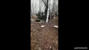 В Тайге, медведь разорвал автомобили охотников.