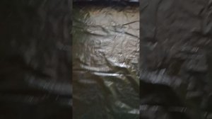 часть 8 Палатка кемпинговая 4-местная Tramp Sphinx 4V2