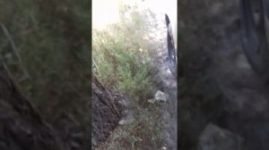 Замена топливного фильтра на мазде 626