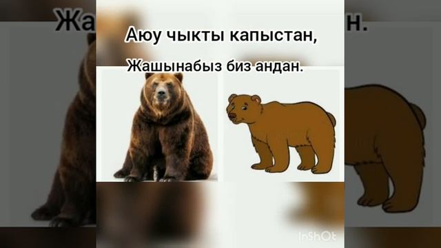 Сабак: Айлана-чөйрө менен таанышуу. Тема: "Жапайы жана үй жаныбарлары". смотреть онлайн