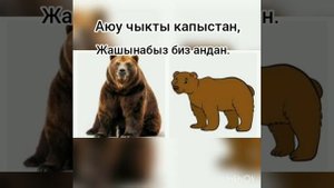 Сабак: Айлана-чөйрө менен таанышуу. Тема: "Жапайы жана үй жаныбарлары".