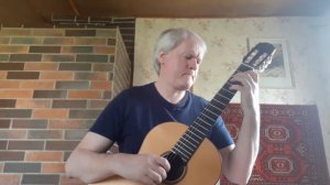 Э. Пухоль - Этюд'Шмель'