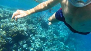 КРАСНОЕ МОРЕ, ПОД ВОДОЙ