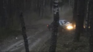 Mazda 626 и дерево