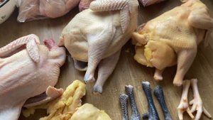 Породы кур Мини мясные палевые и Бресс Гальцы+ помесь двух пород//Купить домашних кур
