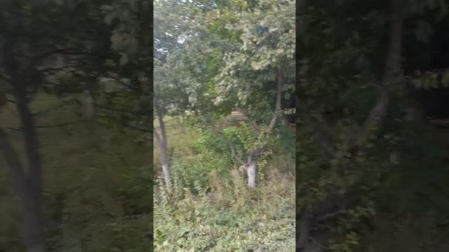 Продолжение.Опасный объект в ст.Боргустанской смотреть онлайн