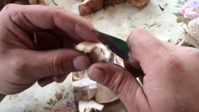 подберезовики приготовление