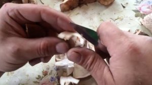 подберезовики приготовление