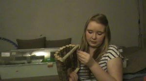 Сирийский хомяк уход