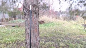Хорошие веерные грабли FISKARS для хвои и сухой листвы