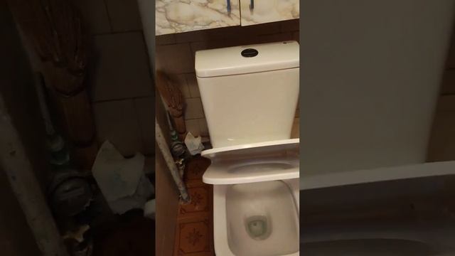 Напольный унитаз Point #plumber #point #сантехника #ремонтквартиры #монтажсантехники #унитаз