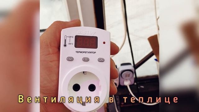 ПРИНУДИТЕЛЬНАЯ ВЕНТИЛЯЦИЯ В ТЕПЛИЦЕ ЗИМОЙ И РАННЕЙ ВЕСНОЙ. смотреть онлайн