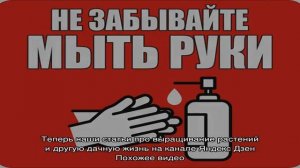 Почему дыня горькая — выясняем причину и что делать, чтобы избежать этого