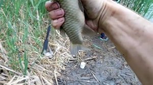 Бешенный клев КАРАСЯ в ДОЖДЬ на боковой кивок с летней мормышкой