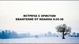 07.02.2020 Верующий и слепые (От Иоанна 9:35–41)