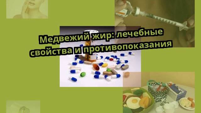 Медвежий жир: лечебные свойства и противопоказания смотреть онлайн