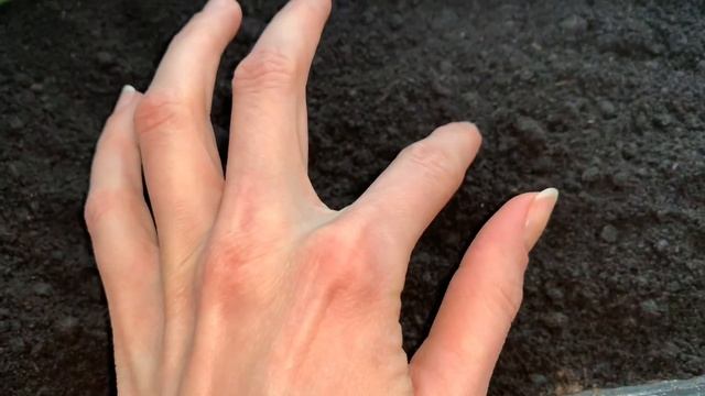 Весенние хлопоты в самом разгаре/ Сажаем цветы и бамию на рассаду/ Влог смотреть онлайн