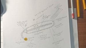 Перевод описания лампы Хатхор. Раскрыта тайна древней технологии