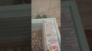 Разведение перепелов. Режим инкубирования. Инкубатор Матрица Дели