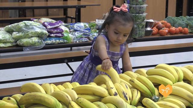 Annie Potts PSA - Food Rescue Program :30 смотреть онлайн