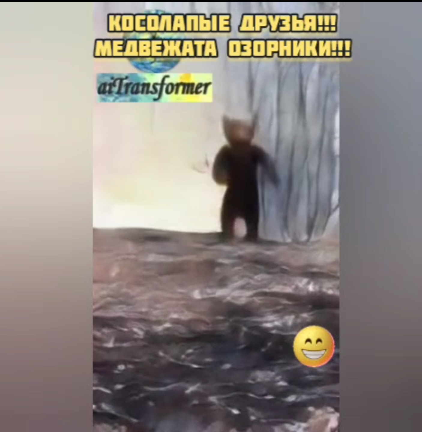#дикаяприрода Косолапые друзья!!!Медвежата озорники!!!Мишки шалунишки!!!