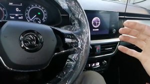 Новый Skoda Rapid свист в районе стекла водительской двери .