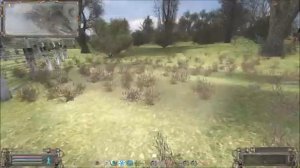 Гибель Мухи и Клыка. #157. Прохождение. S.T.A.L.K.E.R. Народная Cолянка+ОП 2.1