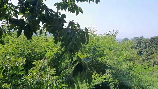 Предложение уже неактуально, дом продан! смотреть онлайн