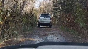 Покатушка Хомутово - Лесное. Hilux Surf 215
