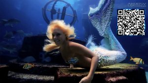 ????????_Ⓜ???????___Meygrafs_meditation✧