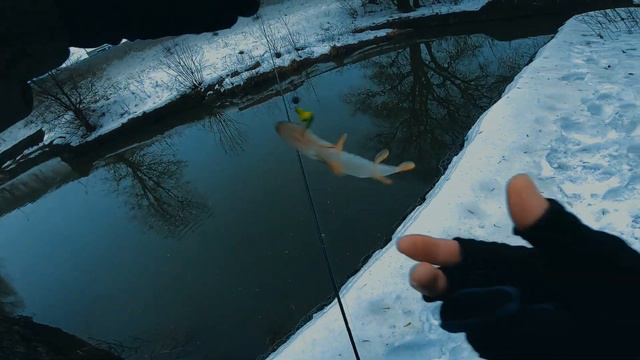 ЩУКА на МАЛОЙ РЕКЕ! Зимний спиннинг с TENRYU Ryaz 632S-L смотреть онлайн