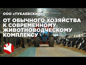 Путь к современному молочному комплексу | Молочное скотоводство