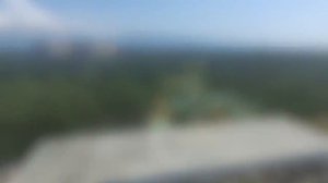 Пансионат Самшитовая Роща, Пицунда, Абхазия