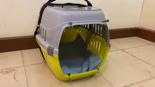 КАК ПУТЕШЕСТВОВАТЬ С СОБАКОЙ НА САПСАНЕ // ВАЖНЫЕ НЮАНСЫ смотреть онлайн