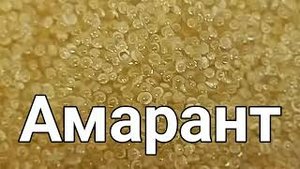 Амарант. Амарантовая каша как готовить. Щирица.