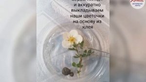 Объемная картина из живых цветов и полимерного клея