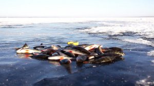 Нетрадиционная ловля на Увильдах