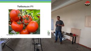 Презентаия семян bejo ТОМАТ