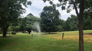 неVLOG о жизни в Австралии - что НЕ НАДО делать в Австралии