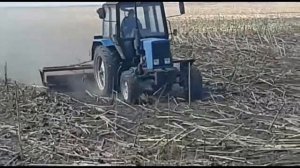Роторный измельчитель пожнивных остатков \ видео в работе