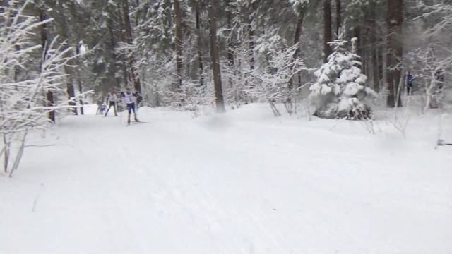Лыжный марафон Александровская слобода 24.3.19 смотреть онлайн
