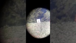 300 метров из Крюгергана не предел