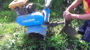 Быстрый Способ Посадки Яровизированными ( пророщенными ) Клубнями Картофеля Без Лопаты.