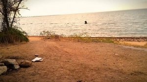 Прогулка к морю. Семь ветров. Утро. Пасмурно.
