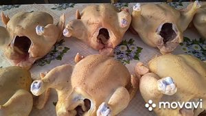 Отличные итоги!!!! Выращивание бройлера от "А" до "Я". Проект КОББ - 500. #тушкабройлера#кобб-500