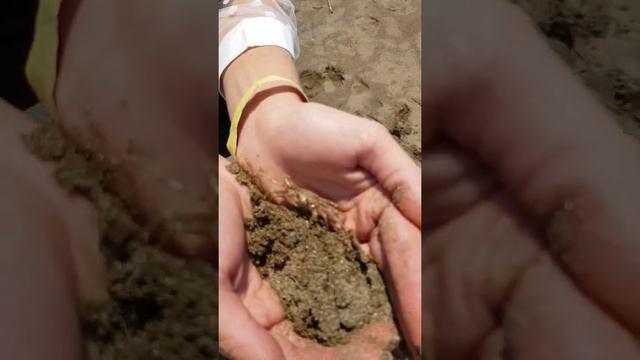 Отдых в Мармарисе  (Marmaris)  Turke. Июнь сезон в Турции .