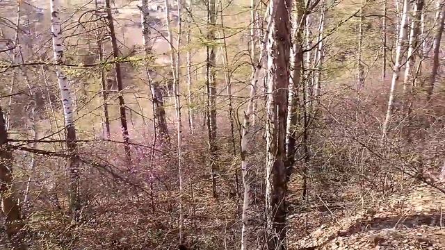 Багульник. Забайкалье 3 смотреть онлайн